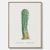 Vintagetavla i canvas med en illustration av en kaktus