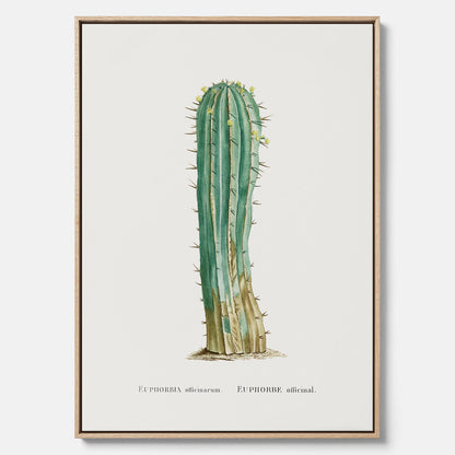 Vintagetavla i canvas med en illustration av en kaktus