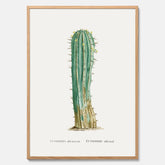 Vintageposter med en illustration av en kaktus
