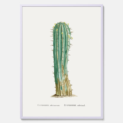 Vintageposter med en illustration av en kaktus