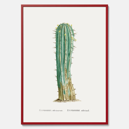 Vintageposter med en illustration av en kaktus