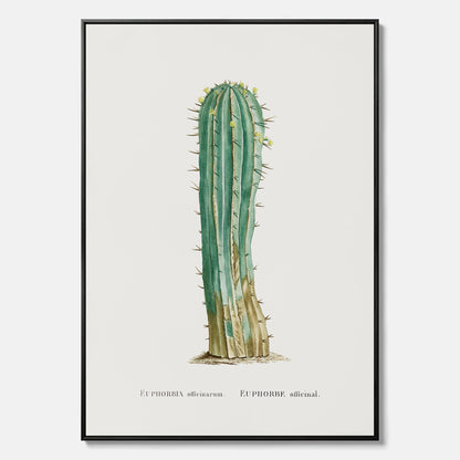 Vintagetavla i canvas med en illustration av en kaktus