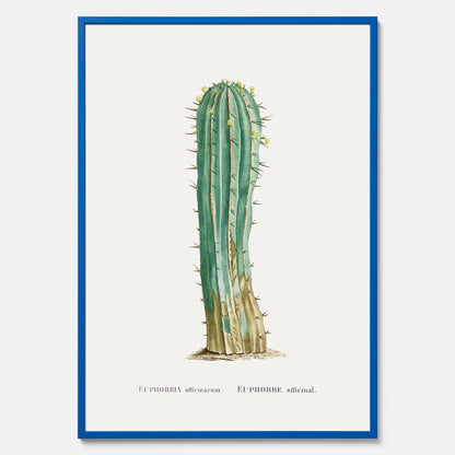Vintageposter med en illustration av en kaktus