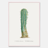 Vintageposter med en illustration av en kaktus