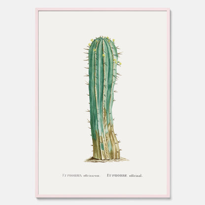 Vintageposter med en illustration av en kaktus