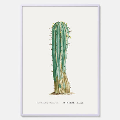 Vintageposter med en illustration av en kaktus
