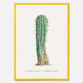 Vintageposter med en illustration av en kaktus