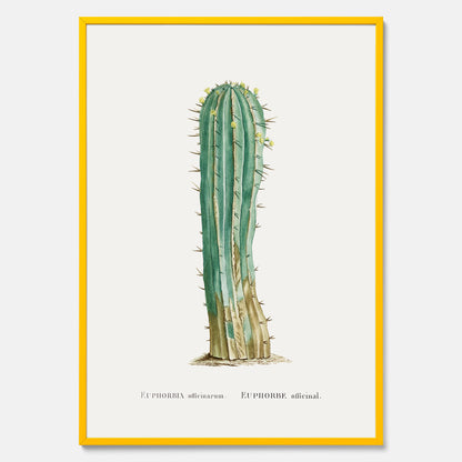Vintageposter med en illustration av en kaktus