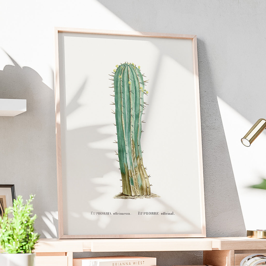 Vintageposter med en illustration av en kaktus