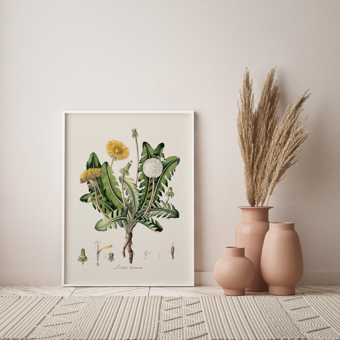 Maskros poster  – Botanisk poster, vintage, skolposter