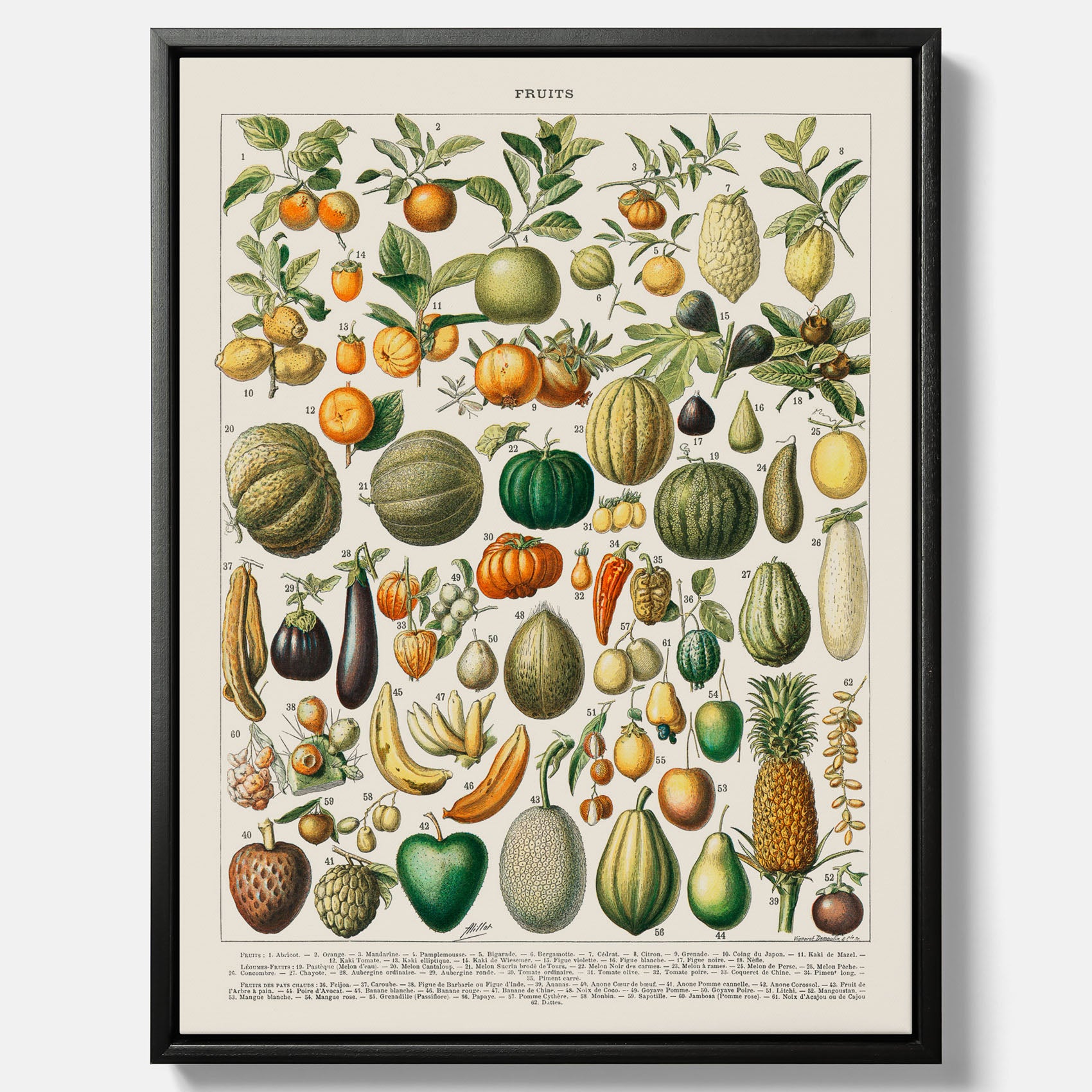 Kökstavla i canvas med Frukt och grönsaker Plansch – Posters till köket, Affisch med en vintageillustration, köksposter, tavla till kök
