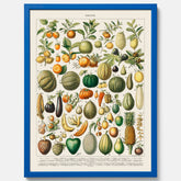Kökstavla med Frukt och grönsaker Plansch – Posters till köket, Affisch med en vintageillustration, köksposter, tavla till kök