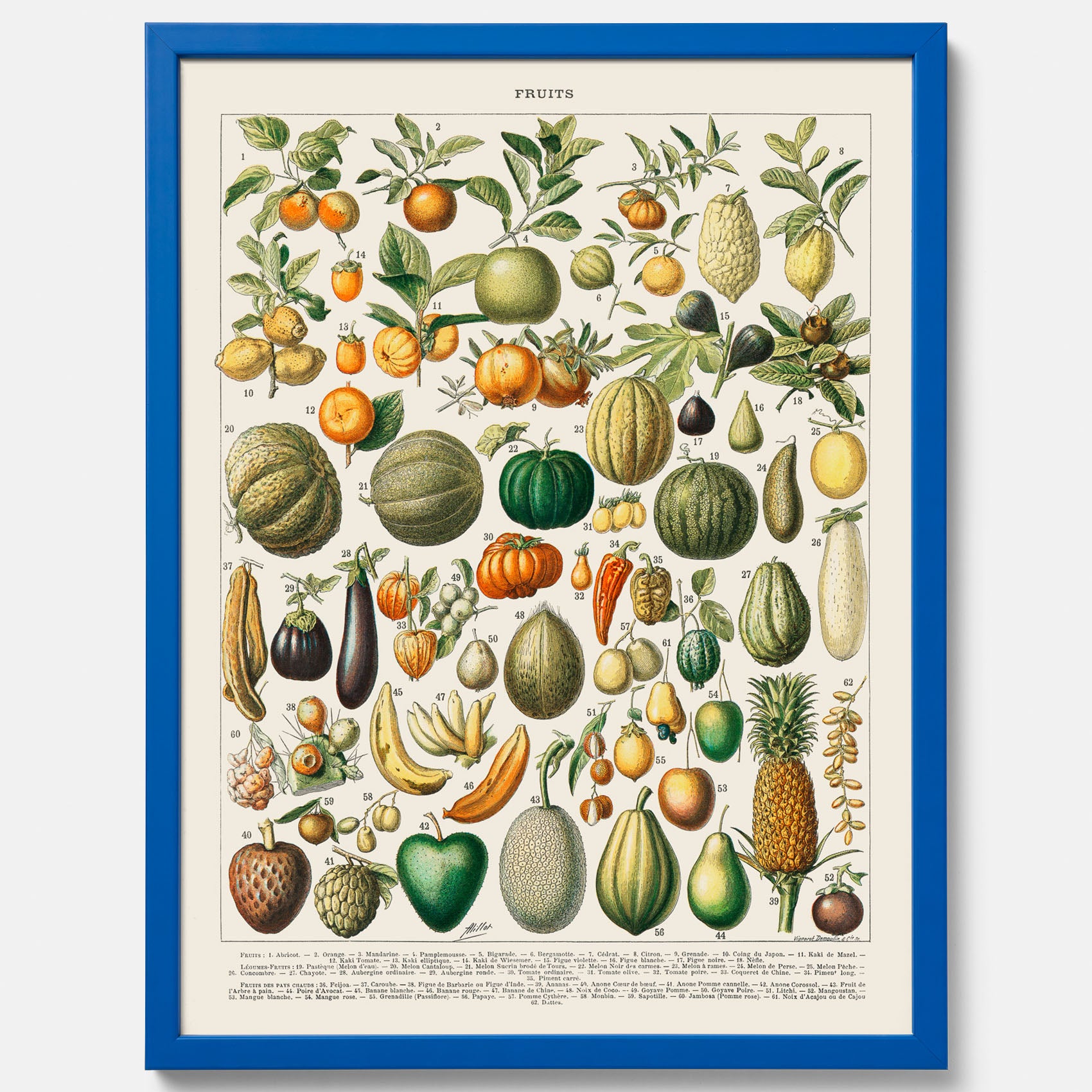 Kökstavla med Frukt och grönsaker Plansch – Posters till köket, Affisch med en vintageillustration, köksposter, tavla till kök
