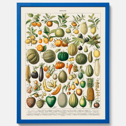 Kökstavla med Frukt och grönsaker Plansch – Posters till köket, Affisch med en vintageillustration, köksposter, tavla till kök