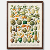 Kökstavla med Frukt och grönsaker Plansch – Posters till köket, Affisch med en vintageillustration, köksposter, tavla till kök