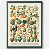 Kökstavla med Frukt och grönsaker Plansch – Posters till köket, Affisch med en vintageillustration, köksposter, tavla till kök