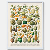 Kökstavla med Frukt och grönsaker Plansch – Posters till köket, Affisch med en vintageillustration, köksposter, tavla till kök