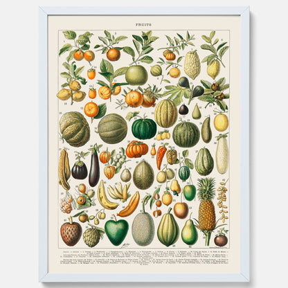 Kökstavla med Frukt och grönsaker Plansch – Posters till köket, Affisch med en vintageillustration, köksposter, tavla till kök