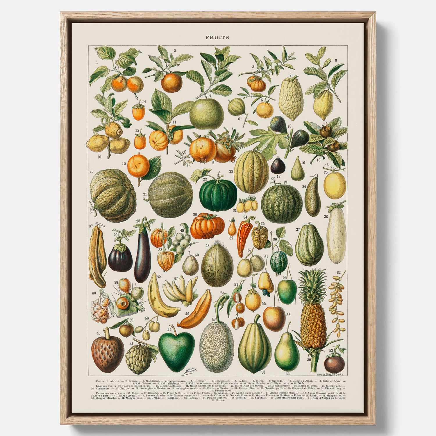 Kökstavla i canvas med Frukt och grönsaker Plansch – Posters till köket, Affisch med en vintageillustration, köksposter, tavla till kök