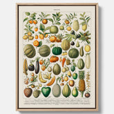 Kökstavla i canvas med Frukt och grönsaker Plansch – Posters till köket, Affisch med en vintageillustration, köksposter, tavla till kök