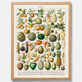 Kökstavla med Frukt och grönsaker Plansch – Posters till köket, Affisch med en vintageillustration, köksposter, tavla till kök