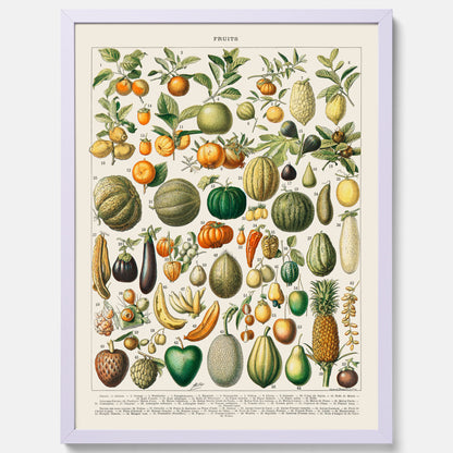 Kökstavla med Frukt och grönsaker Plansch – Posters till köket, Affisch med en vintageillustration, köksposter, tavla till kök