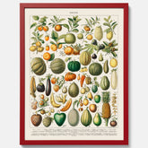 Kökstavla med Frukt och grönsaker Plansch – Posters till köket, Affisch med en vintageillustration, köksposter, tavla till kök