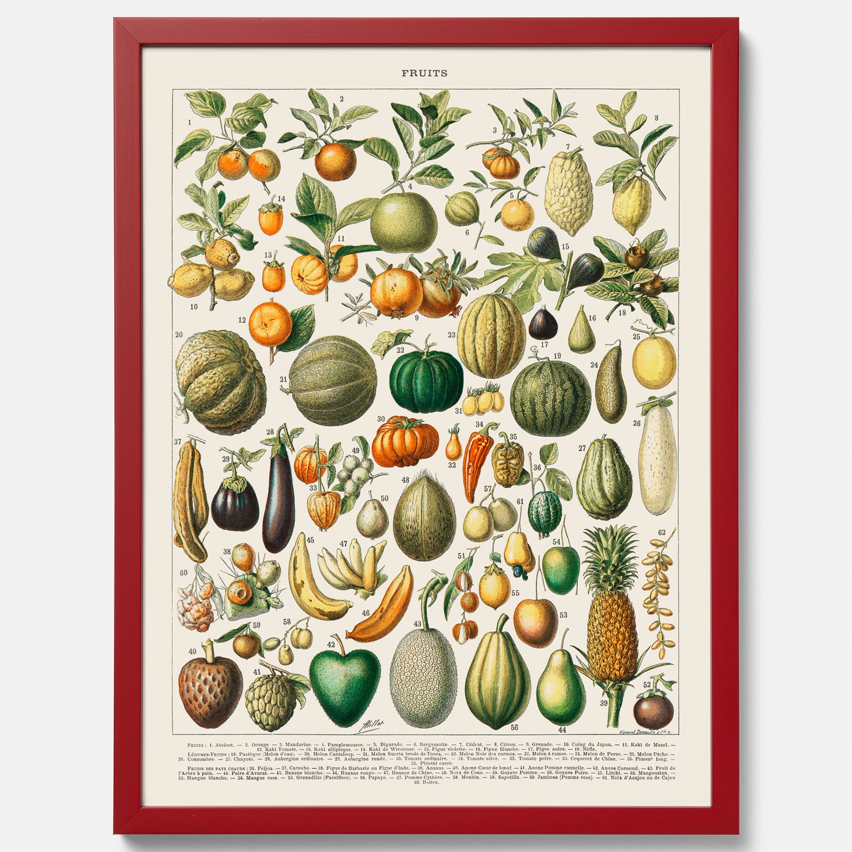 Kökstavla med Frukt och grönsaker Plansch – Posters till köket, Affisch med en vintageillustration, köksposter, tavla till kök
