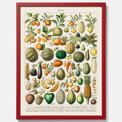 Kökstavla med Frukt och grönsaker Plansch – Posters till köket, Affisch med en vintageillustration, köksposter, tavla till kök