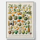 Kökstavla i canvas med Frukt och grönsaker Plansch – Posters till köket, Affisch med en vintageillustration, köksposter, tavla till kök
