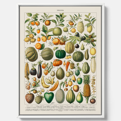Kökstavla i canvas med Frukt och grönsaker Plansch – Posters till köket, Affisch med en vintageillustration, köksposter, tavla till kök