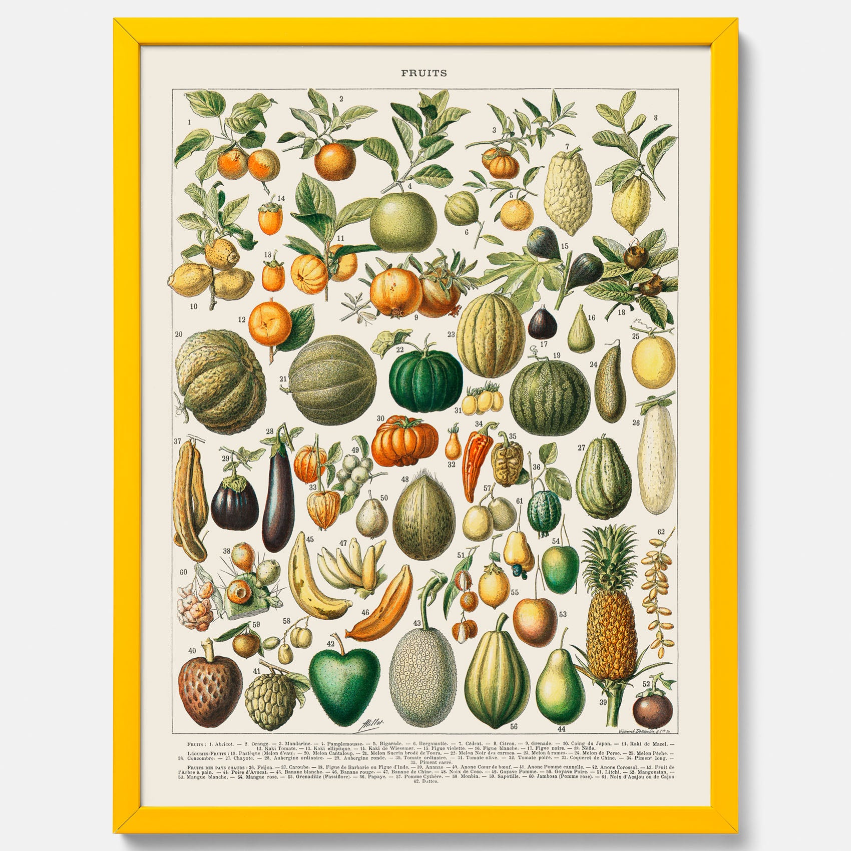 Kökstavla med Frukt och grönsaker Plansch – Posters till köket, Affisch med en vintageillustration, köksposter, tavla till kök