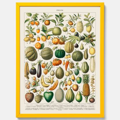 Kökstavla med Frukt och grönsaker Plansch – Posters till köket, Affisch med en vintageillustration, köksposter, tavla till kök