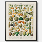 Kökstavla i canvas med Frukt och grönsaker Plansch – Posters till köket, Affisch med en vintageillustration, köksposter, tavla till kök