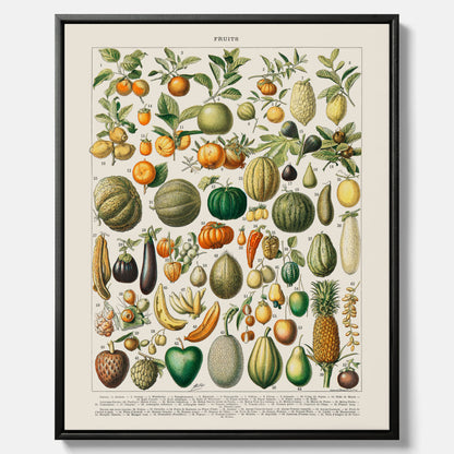 Kökstavla i canvas med Frukt och grönsaker Plansch – Posters till köket, Affisch med en vintageillustration, köksposter, tavla till kök