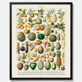Kökstavla med Frukt och grönsaker Plansch – Posters till köket, Affisch med en vintageillustration, köksposter, tavla till kök