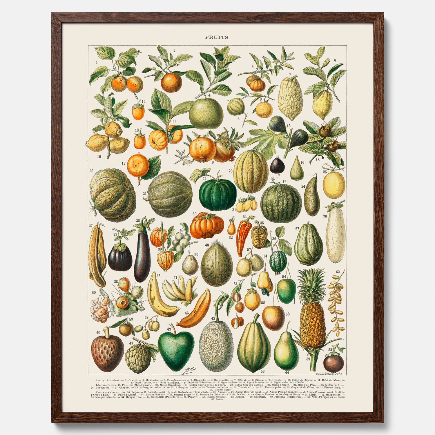 Kökstavla med Frukt och grönsaker Plansch – Posters till köket, Affisch med en vintageillustration, köksposter, tavla till kök