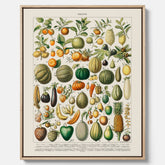 Kökstavla i canvas med Frukt och grönsaker Plansch – Posters till köket, Affisch med en vintageillustration, köksposter, tavla till kök