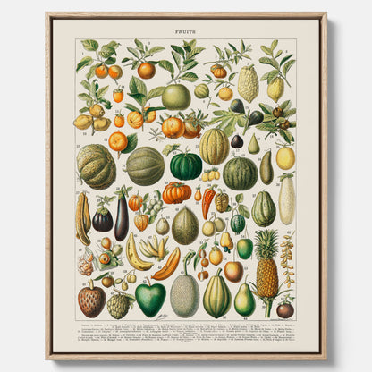 Kökstavla i canvas med Frukt och grönsaker Plansch – Posters till köket, Affisch med en vintageillustration, köksposter, tavla till kök