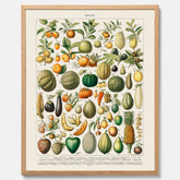 Kökstavla med Frukt och grönsaker Plansch – Posters till köket, Affisch med en vintageillustration, köksposter, tavla till kök