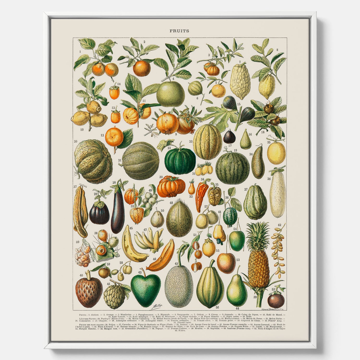 Kökstavla i canvas med Frukt och grönsaker Plansch – Posters till köket, Affisch med en vintageillustration, köksposter, tavla till kök