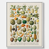 Kökstavla i canvas med Frukt och grönsaker Plansch – Posters till köket, Affisch med en vintageillustration, köksposter, tavla till kök