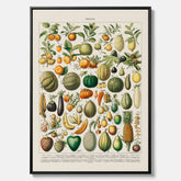 Kökstavla i canvas med Frukt och grönsaker Plansch – Posters till köket, Affisch med en vintageillustration, köksposter, tavla till kök