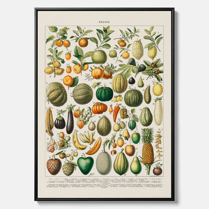 Kökstavla i canvas med Frukt och grönsaker Plansch – Posters till köket, Affisch med en vintageillustration, köksposter, tavla till kök