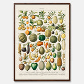 Kökstavla med Frukt och grönsaker Plansch – Posters till köket, Affisch med en vintageillustration, köksposter, tavla till kök