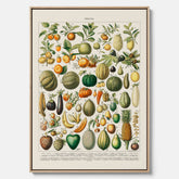 Kökstavla i canvas med Frukt och grönsaker Plansch – Posters till köket, Affisch med en vintageillustration, köksposter, tavla till kök