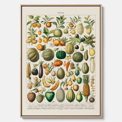 Kökstavla i canvas med Frukt och grönsaker Plansch – Posters till köket, Affisch med en vintageillustration, köksposter, tavla till kök