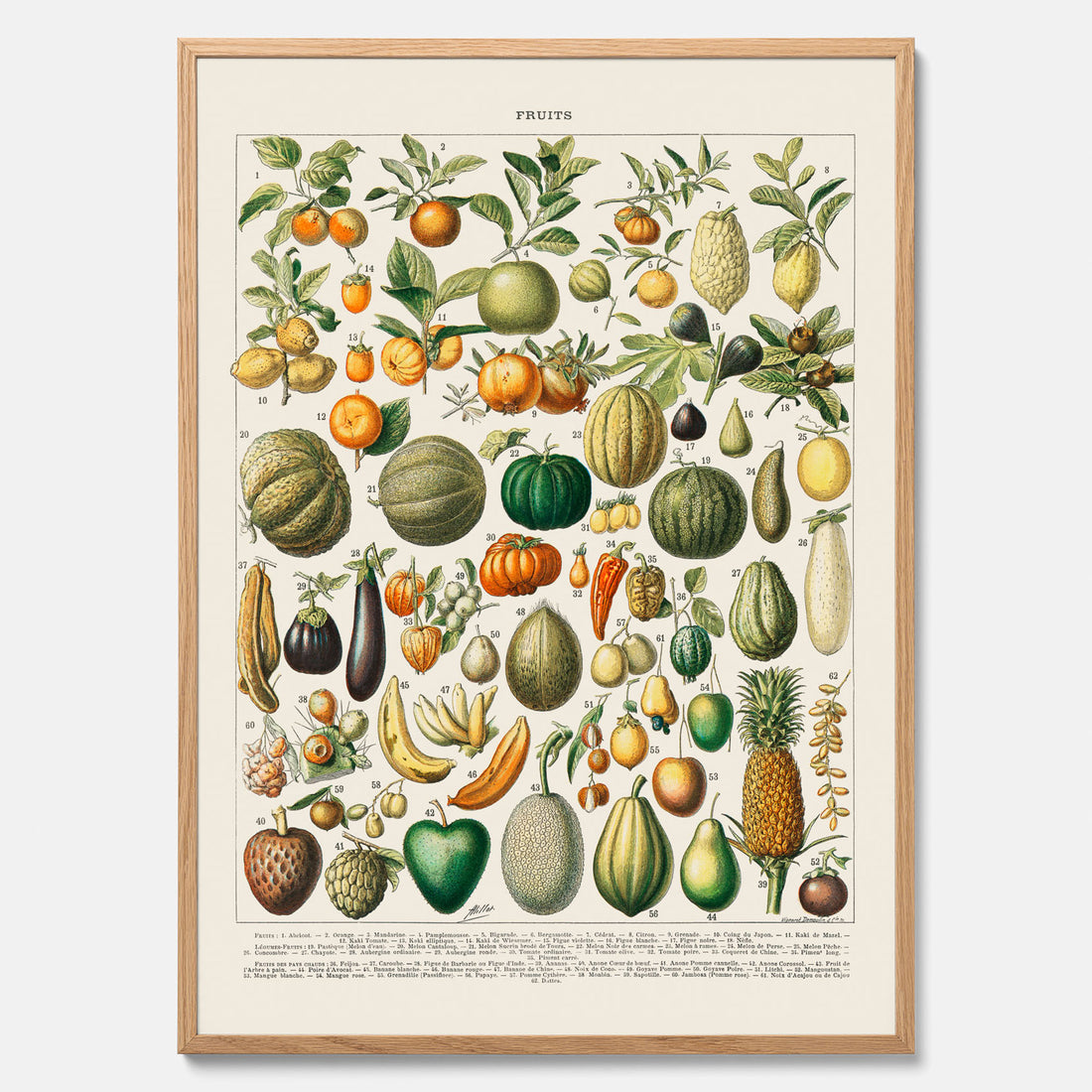 Kökstavla med Frukt och grönsaker Plansch – Posters till köket, Affisch med en vintageillustration, köksposter, tavla till kök