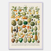 Kökstavla med Frukt och grönsaker Plansch – Posters till köket, Affisch med en vintageillustration, köksposter, tavla till kök