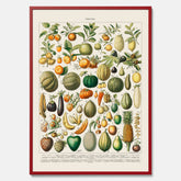 Kökstavla med Frukt och grönsaker Plansch – Posters till köket, Affisch med en vintageillustration, köksposter, tavla till kök